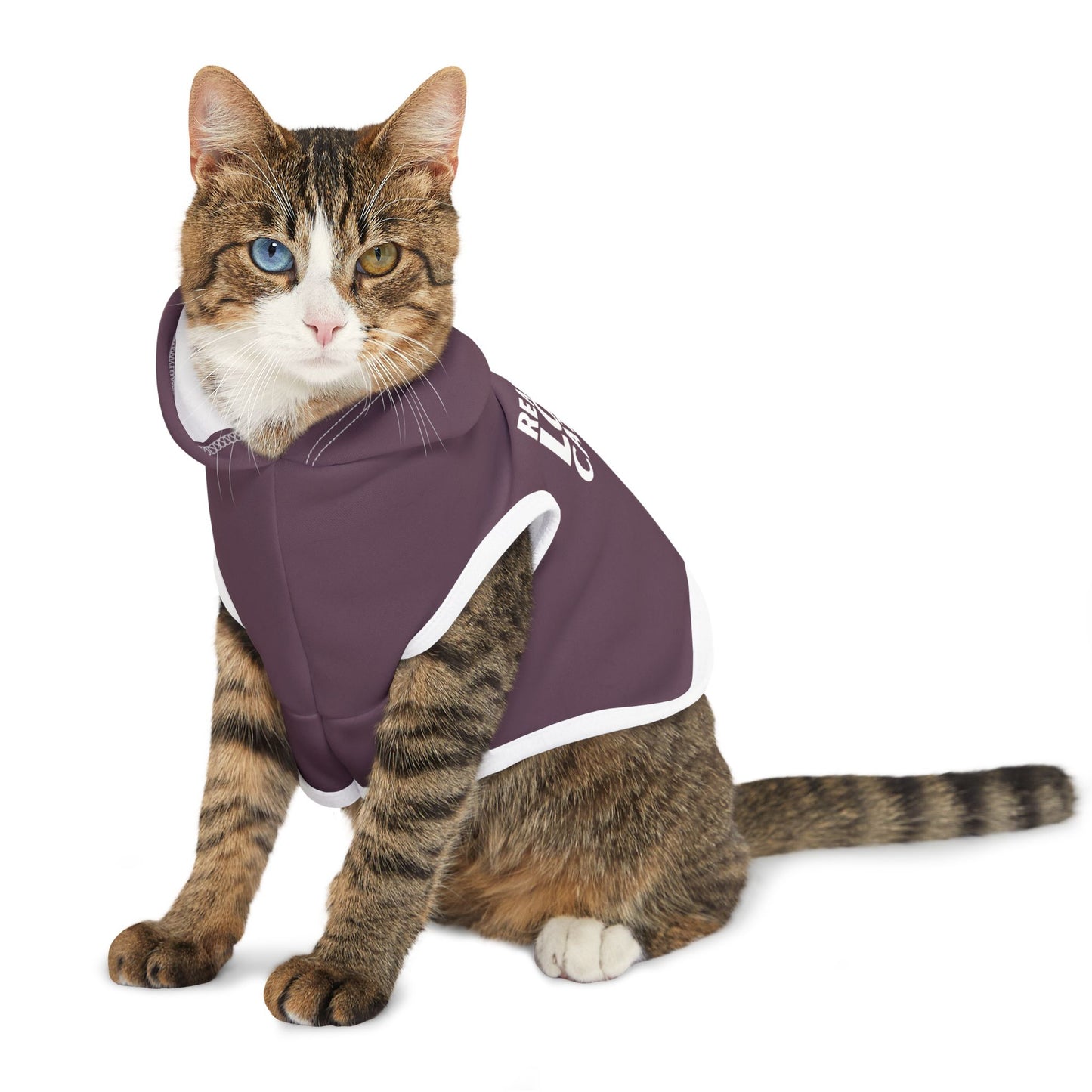 Real Men Love Cats - Pet Hoodie