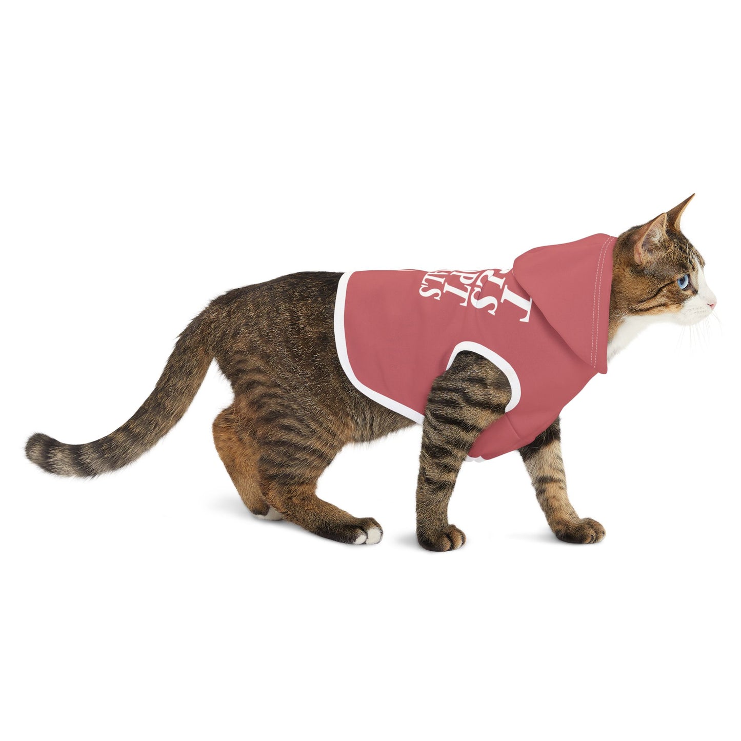 Hot Girls Adopt - Pet Hoodie