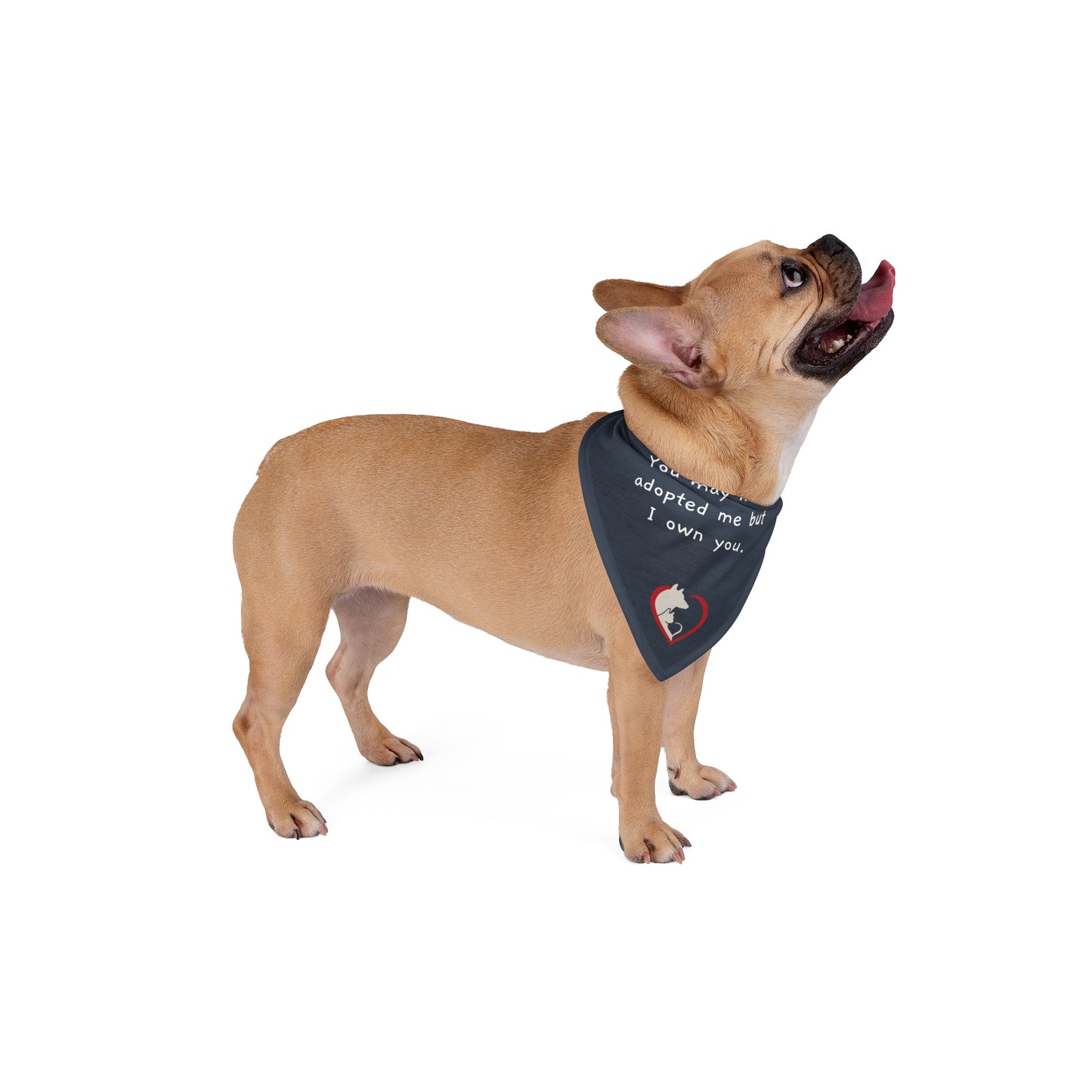 You may have adopted me but I own you - Pet Bandana