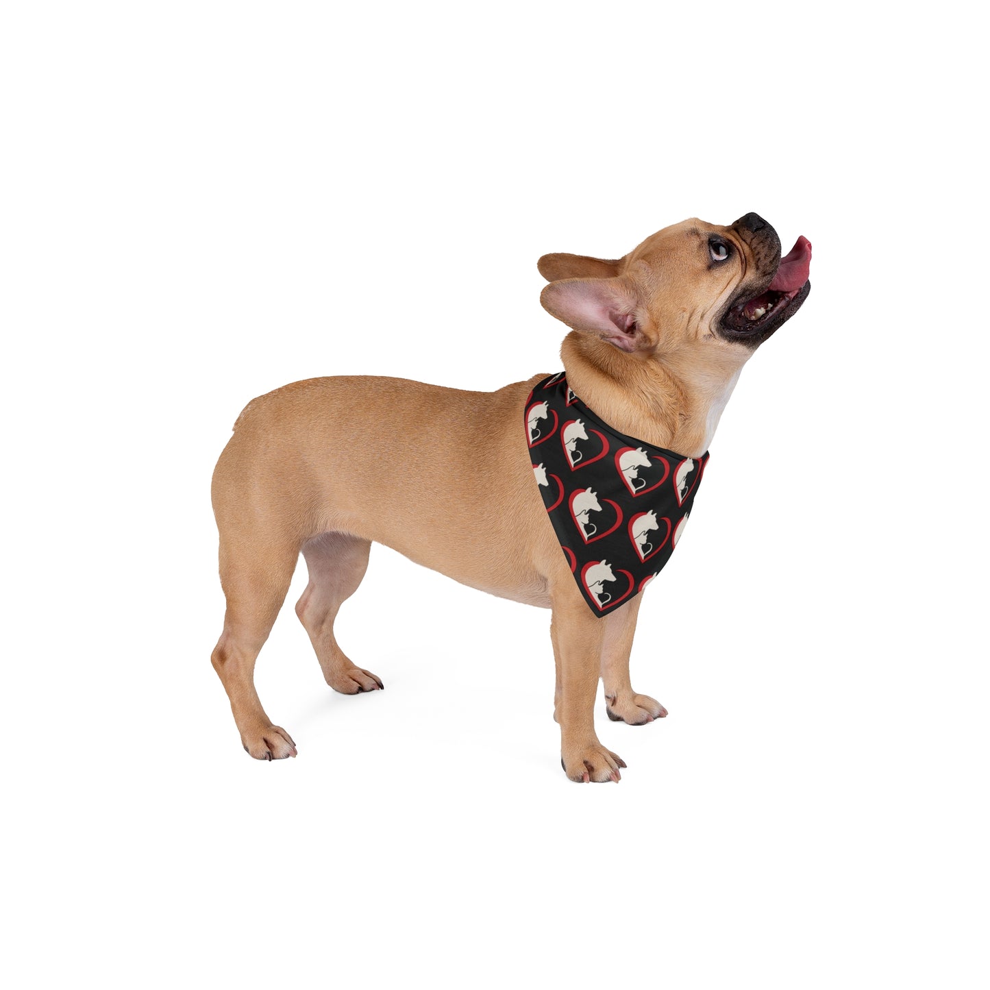 IVHS & SPCA Logo - Pet Bandana