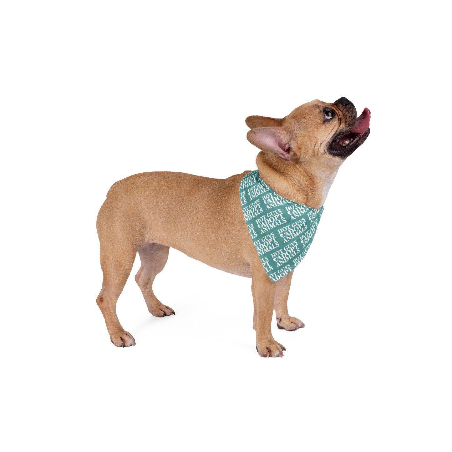 Hot Guys Adopt - Pet Bandana
