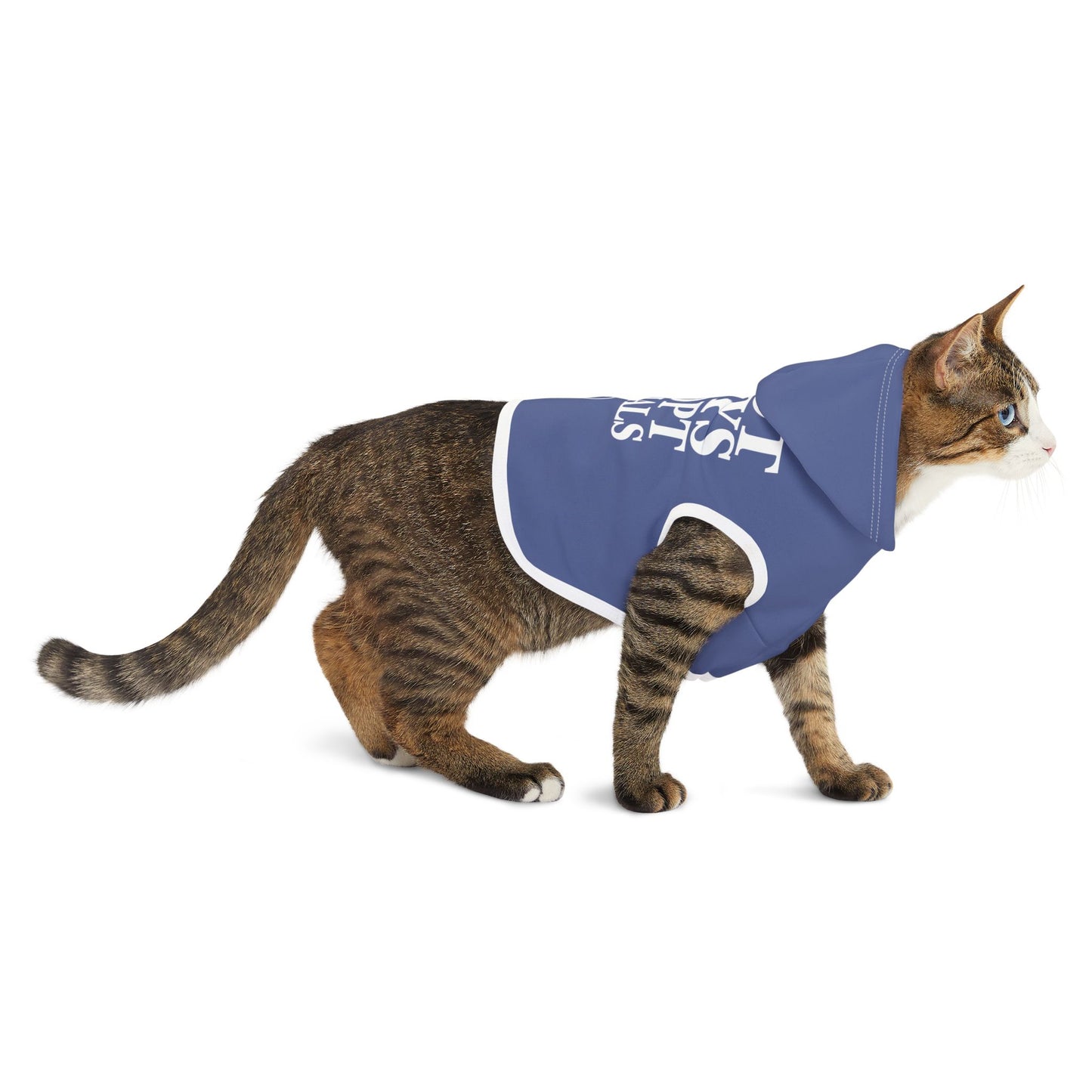 Hot Guys Adopt - Pet Hoodie