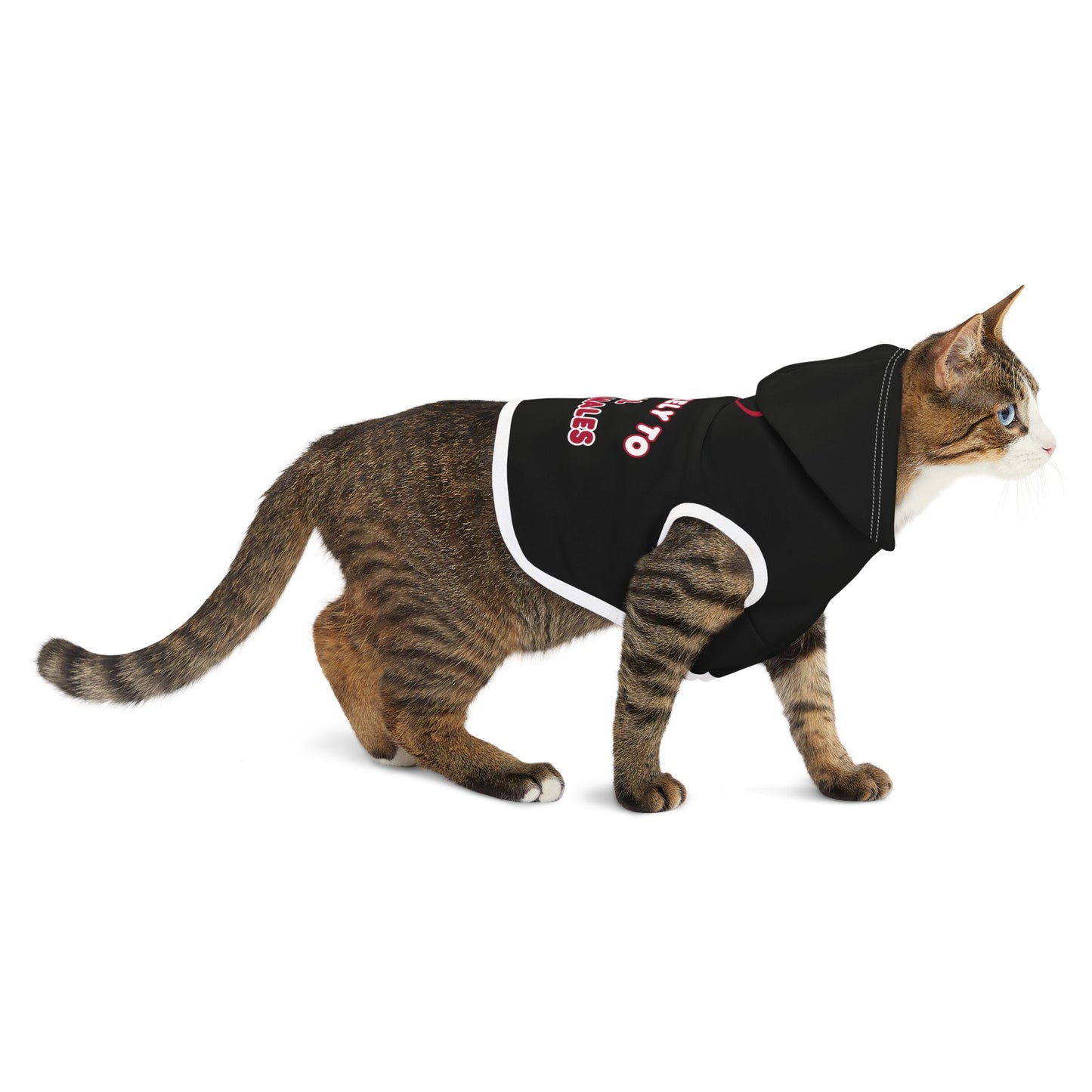 Most Likely to Steal Your Tamales - Pet Hoodie