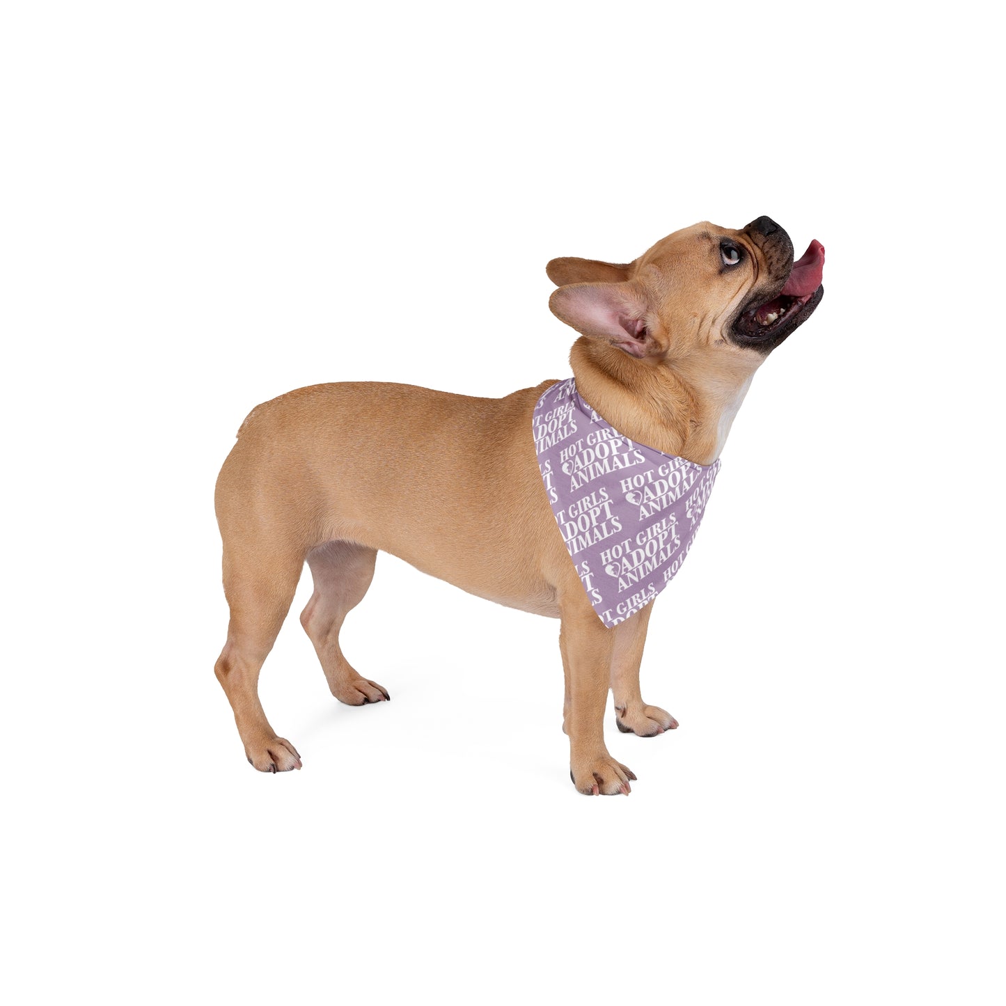 Hot Girls Adopt - Pet Bandana