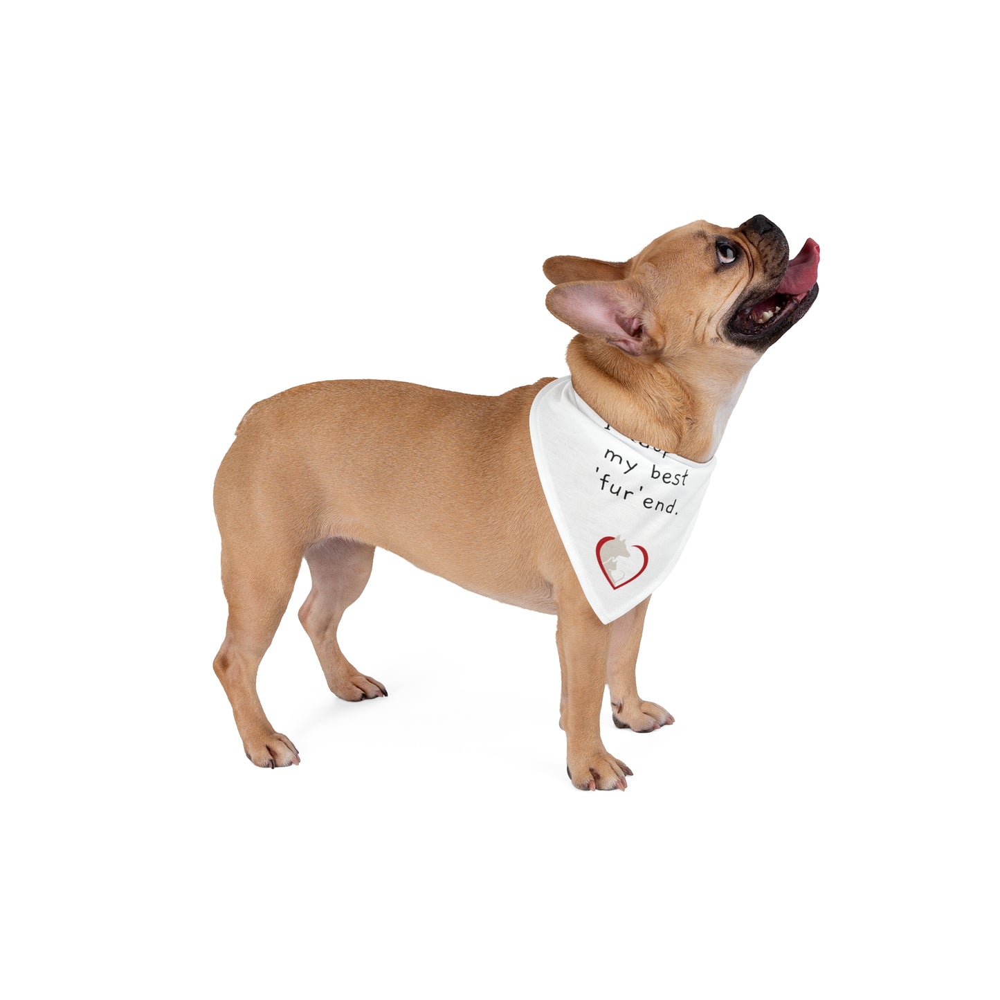 I adopted my best 'fur'end - Pet Bandana