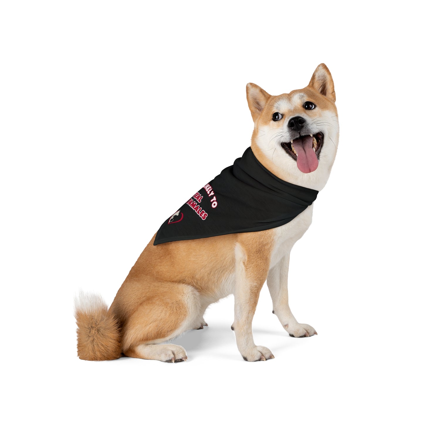 Most Likely to Steal Your Tamales - Pet Bandana