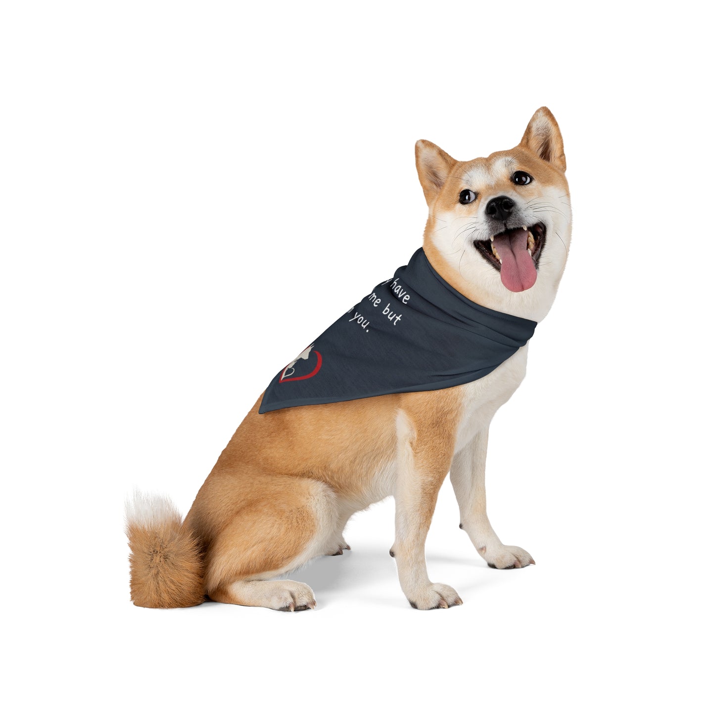You may have adopted me but I own you - Pet Bandana