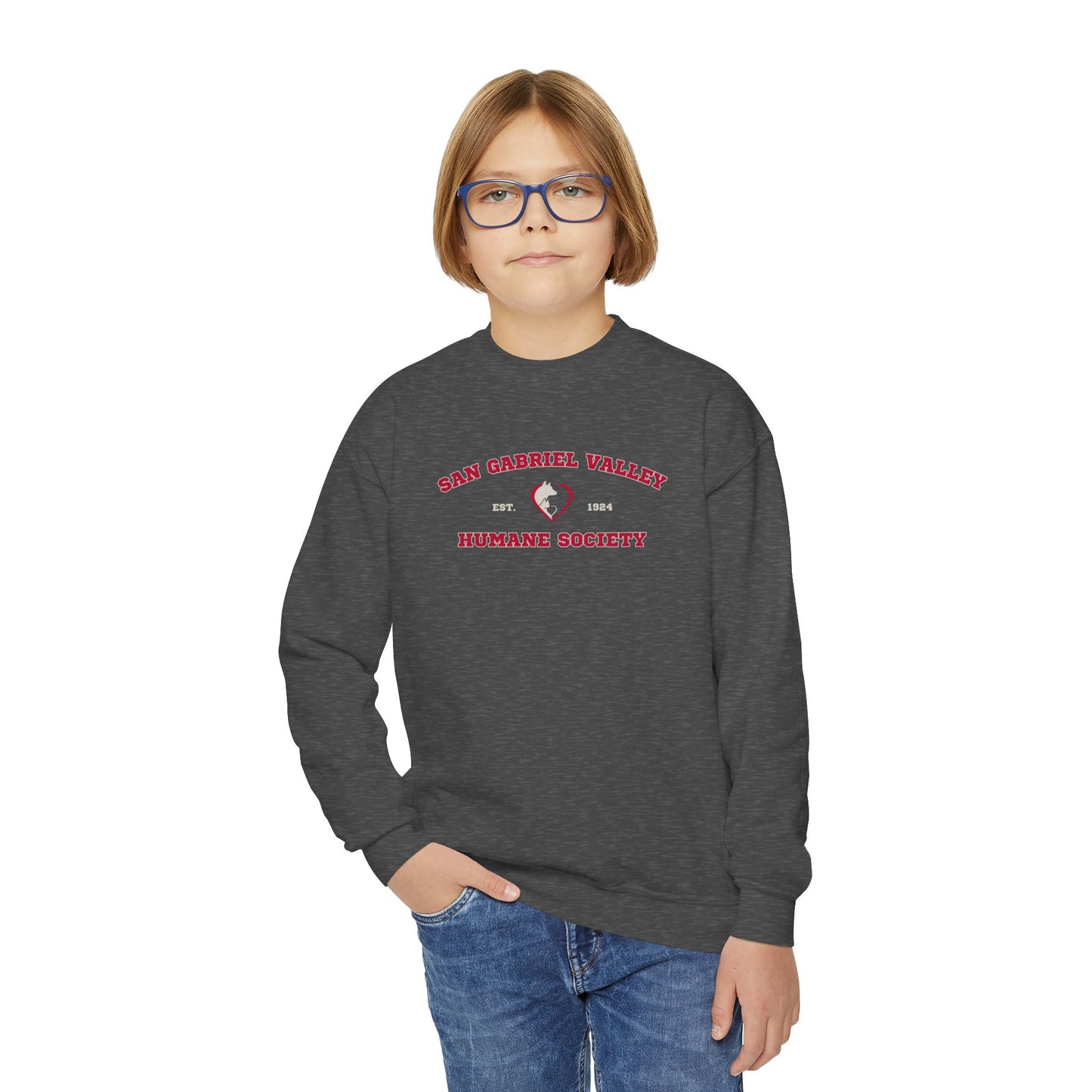 SGVHS Collegiate - Youth Crewneck Sweatshirt