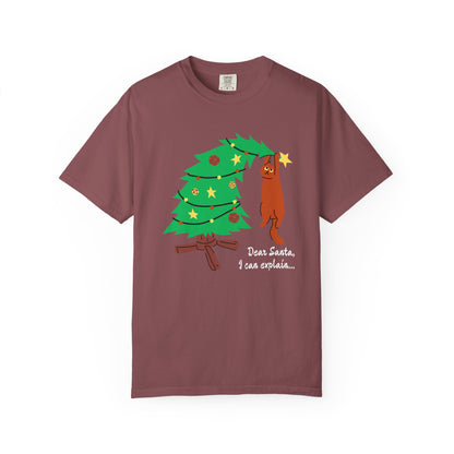 Dear Santa - Shirt