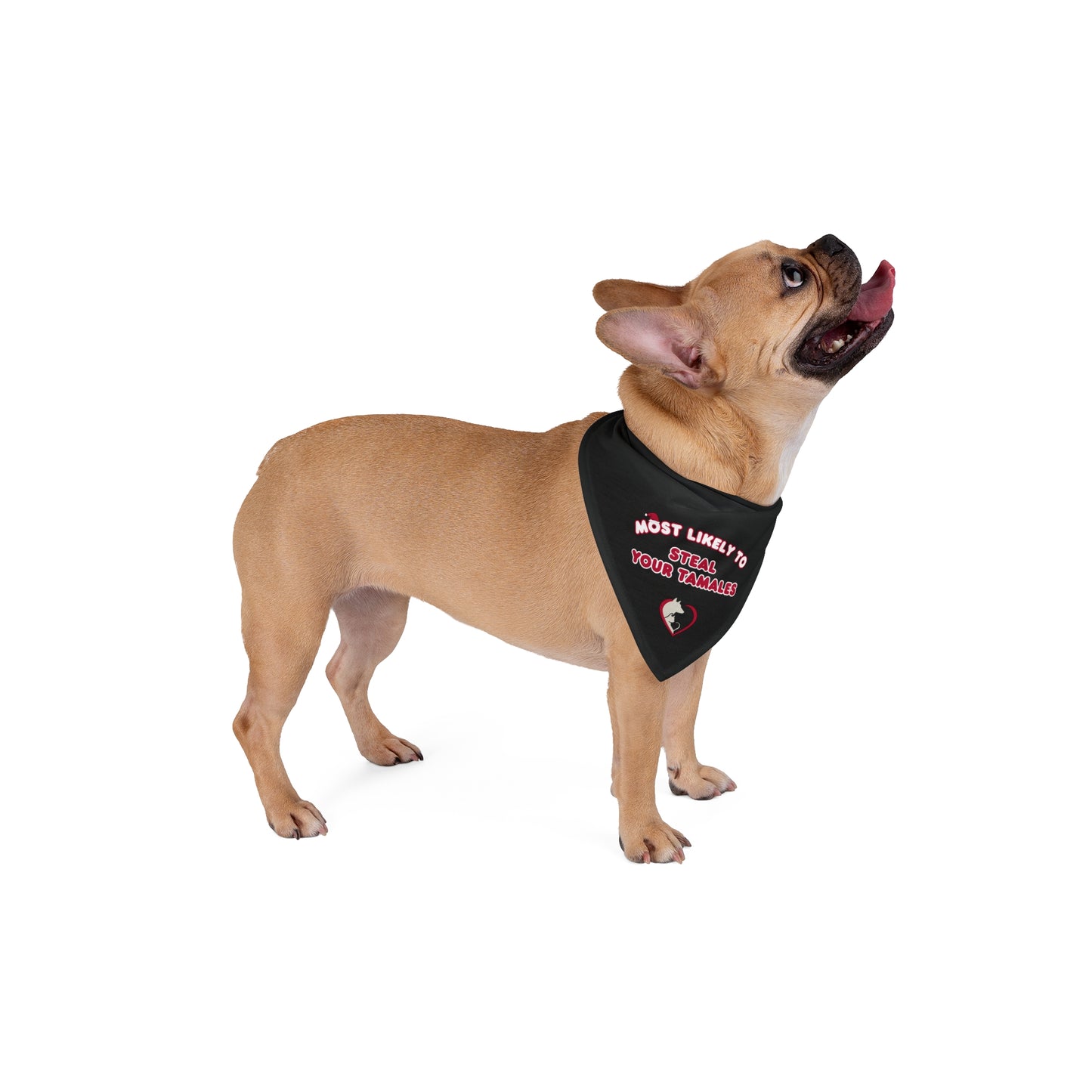 Most Likely to Steal Your Tamales - Pet Bandana