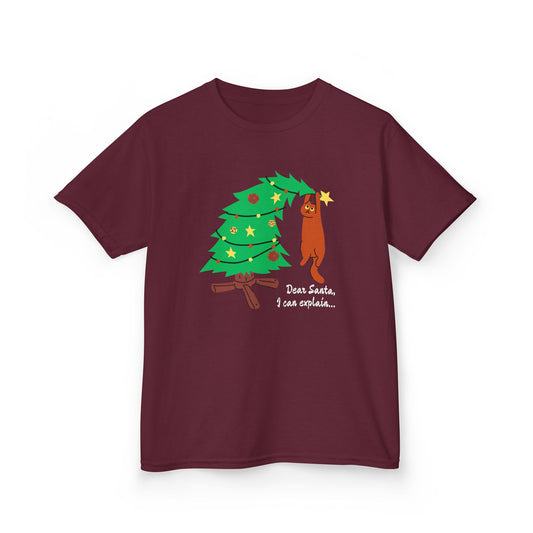 Dear Santa - Youth Shirt