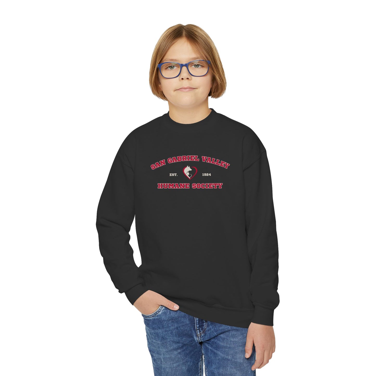 SGVHS Collegiate - Youth Crewneck Sweatshirt