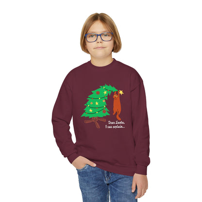Dear Santa - Youth Crewneck Sweatshirt